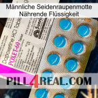 Männliche Seidenraupenmotte Nährende Flüssigkeit new07
